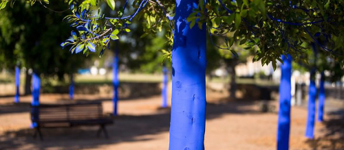 The Blue Trees